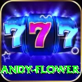 andy flower Pakistan Pro v1.8.8