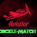 india next cricket match Pro PK v5.0.4