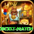 india pakistan cricket match Earn Extreme v5.6.8