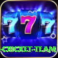 ireland cricket team Live VIP v3.3.0