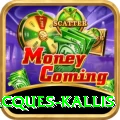 jacques kallis Casino Extreme v2.8.3