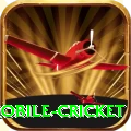 mobile cricket Max PK v1.4.4