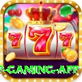Mostbet Pakistan VIP Gaming App