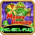 Pakistan Betting Site Gaming Mega