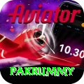 pakrummy - Slots Pro