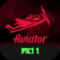 pk11 Plus v3.8.3