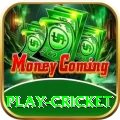 play cricket Ultimate - Free Download
