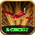 r cricket Game Super v4.9.2