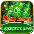 smart cricket live Champion v3.0.6