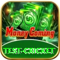 test cricket Mega - Win Real PKR