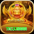tiger888 Casino Gold v2.4.6