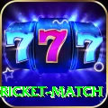 to day cricket match Game Supreme v5.9.0